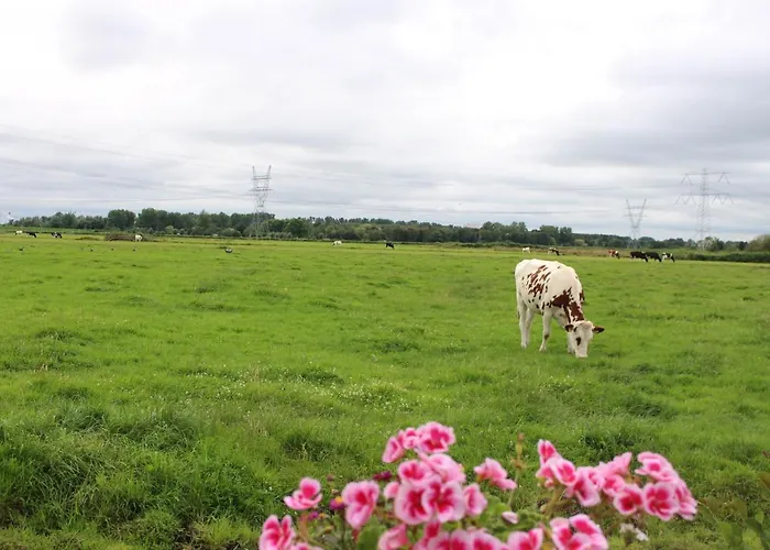 阿姆斯特丹兰德里可度假屋 * 阿姆斯特丹