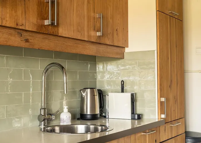 公寓 阿姆斯特丹兰德里可度假屋 *