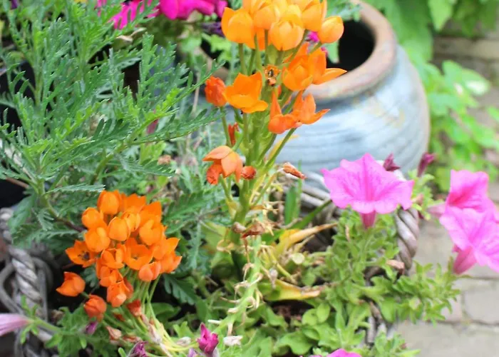 阿姆斯特丹兰德里可度假屋 *