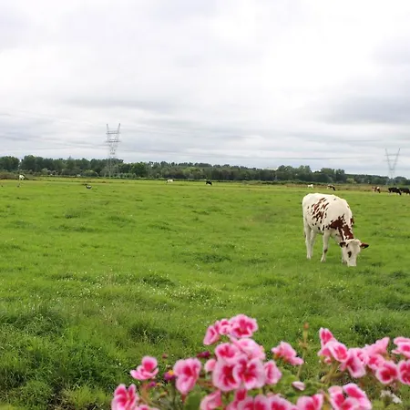 Landelijk * Amsterdam